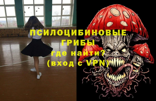 метамфетамин Ельня