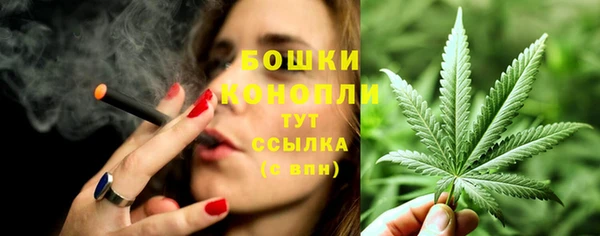 mdpv Елизово