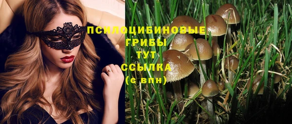 герыч Елабуга