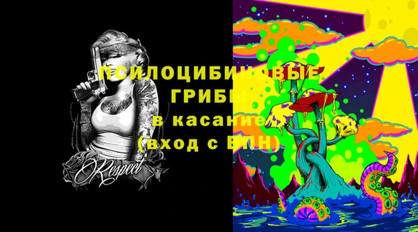mdpv Елизово