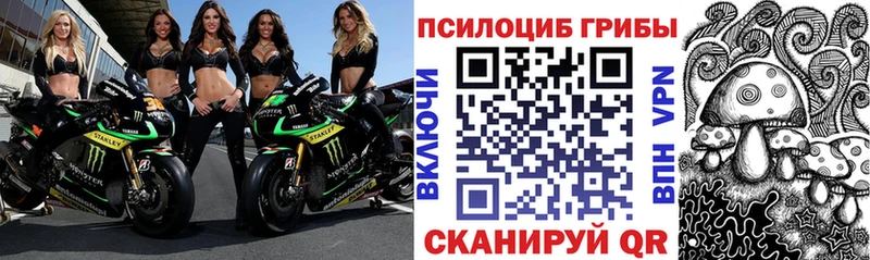 Псилоцибиновые грибы прущие грибы  Купить  Видное 